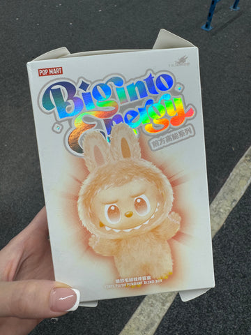 Big Into Energy Lafufu (blind box) random colour