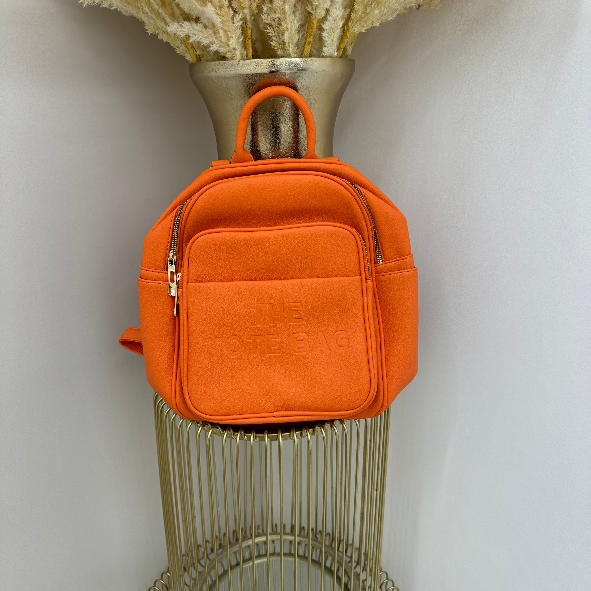 TTB Cross body / back pack bag