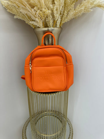 TTB Cross body / back pack bag